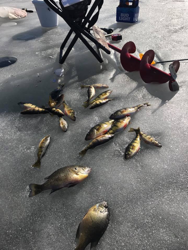 2017 Dam to Dam Ice Fishing Tournament WLAVFM